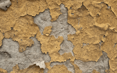 Untitled design (1) (1)