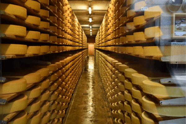 Cheese (1)