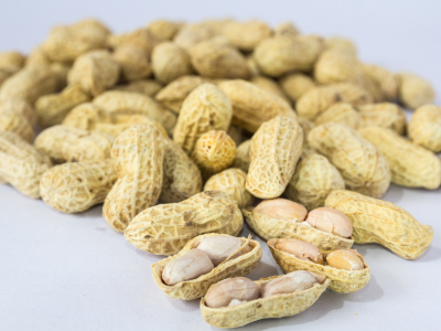 Groundnut (2)